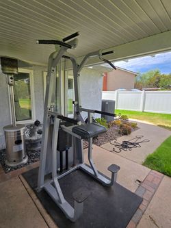 Dip/Chin Assist - Precor Icarian