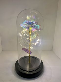 Dose Of Roses Galaxy Light Rose 