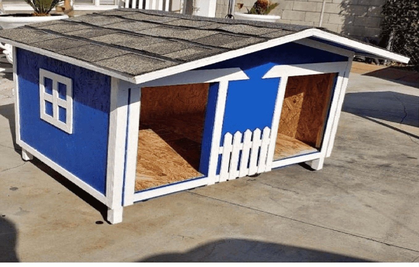 Build the Ultimate Dog Home - Style and Comfort Excellence become station