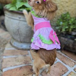 Doggy Dresses
