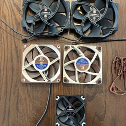 Noctua Fans (Assorted Size With Accessories)