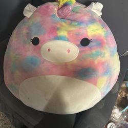well loved giant squishmallow