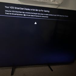 65 Inch Vizio TV 
