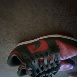 Green And Red Dunks Size 10