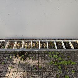 Werner 24 ft. Extension ladder