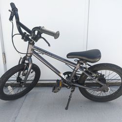 Priority Kids Bike (16 inch tires)