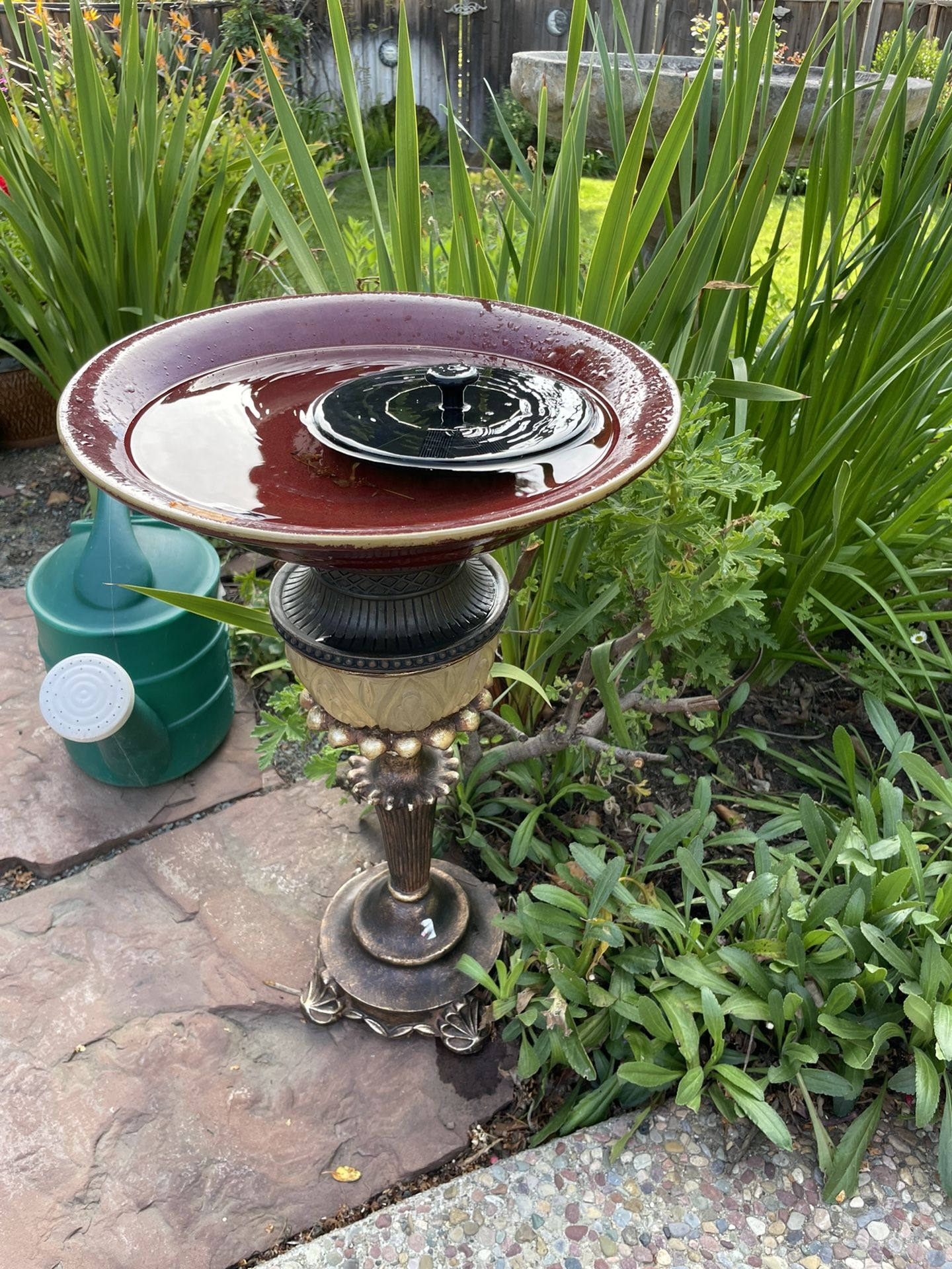 Elegant Fountain Style Bird Bath