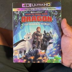 How To Trains Dragon The Hidden World