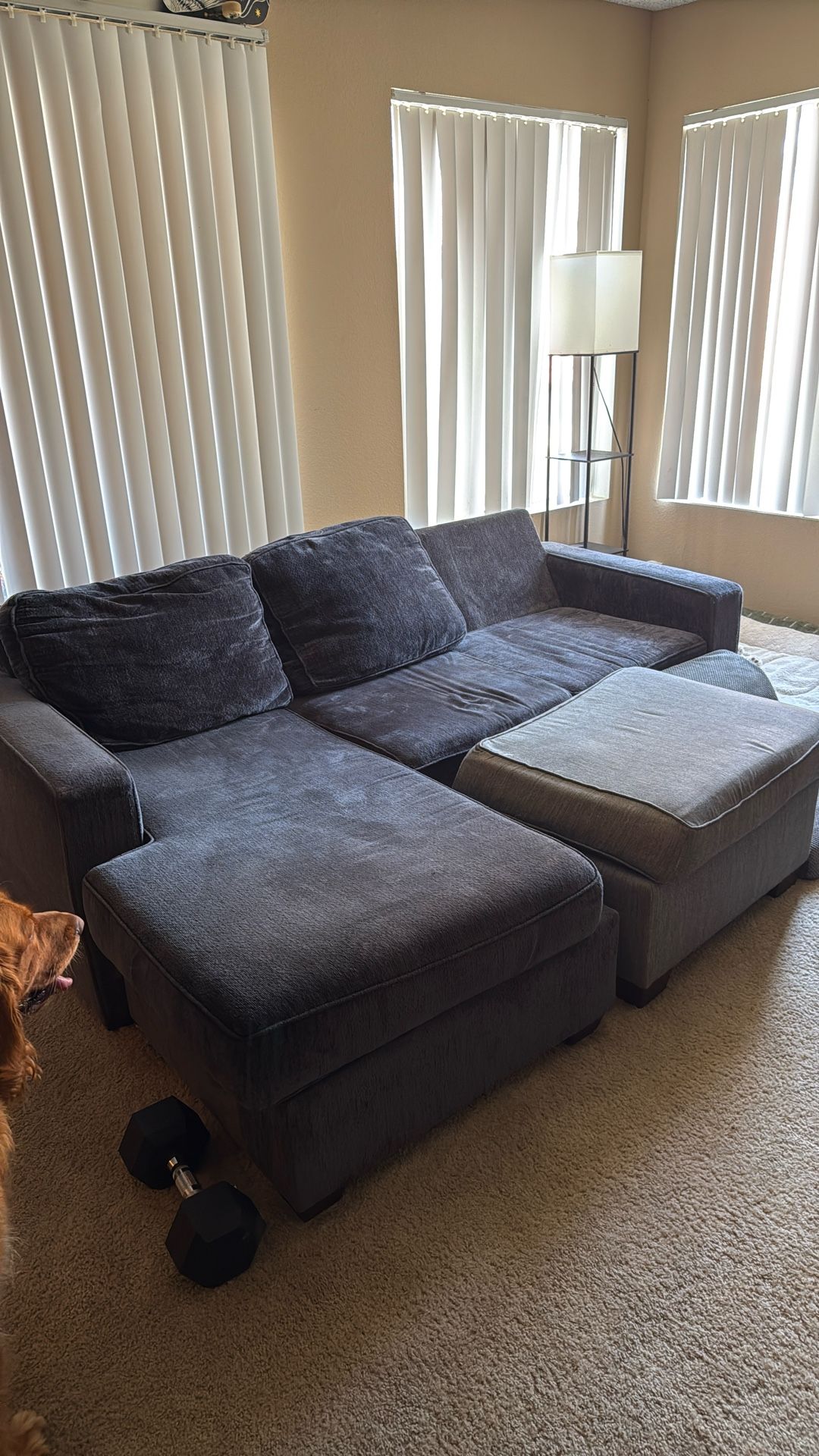 L Couch