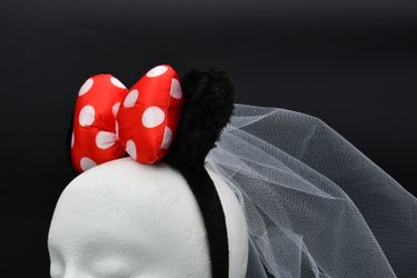 Minnie Mouse wars and bride veil