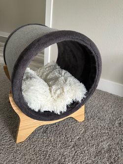 Frisco Elevated Cat Tunnel