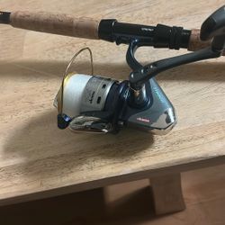 Pole And Reel Combo 