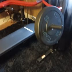 Wieght bench and (2) 45 weight rubber plates perfect condition 