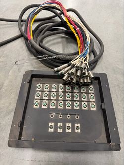 24 channel snake