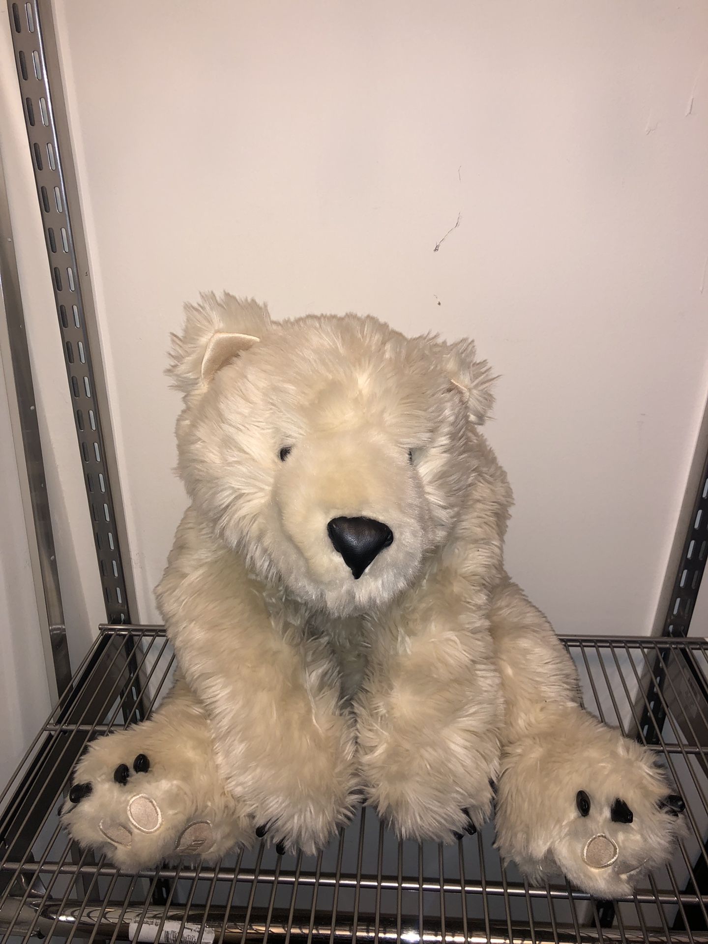Big Teddy Bear