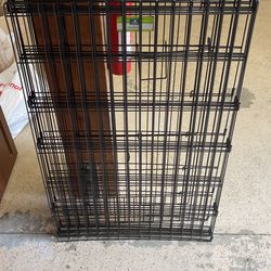 Dog Exercise Paw 36’
