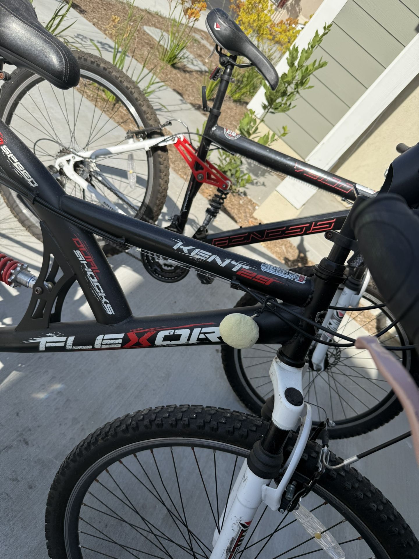 Bikes