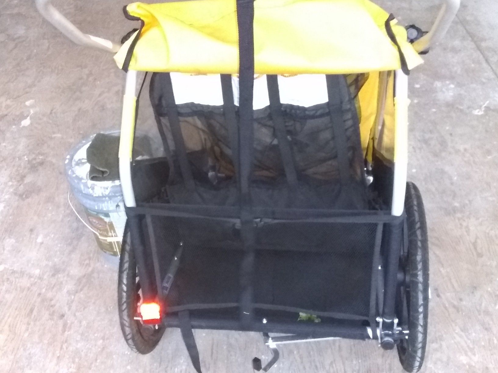 Burley bumble bee
