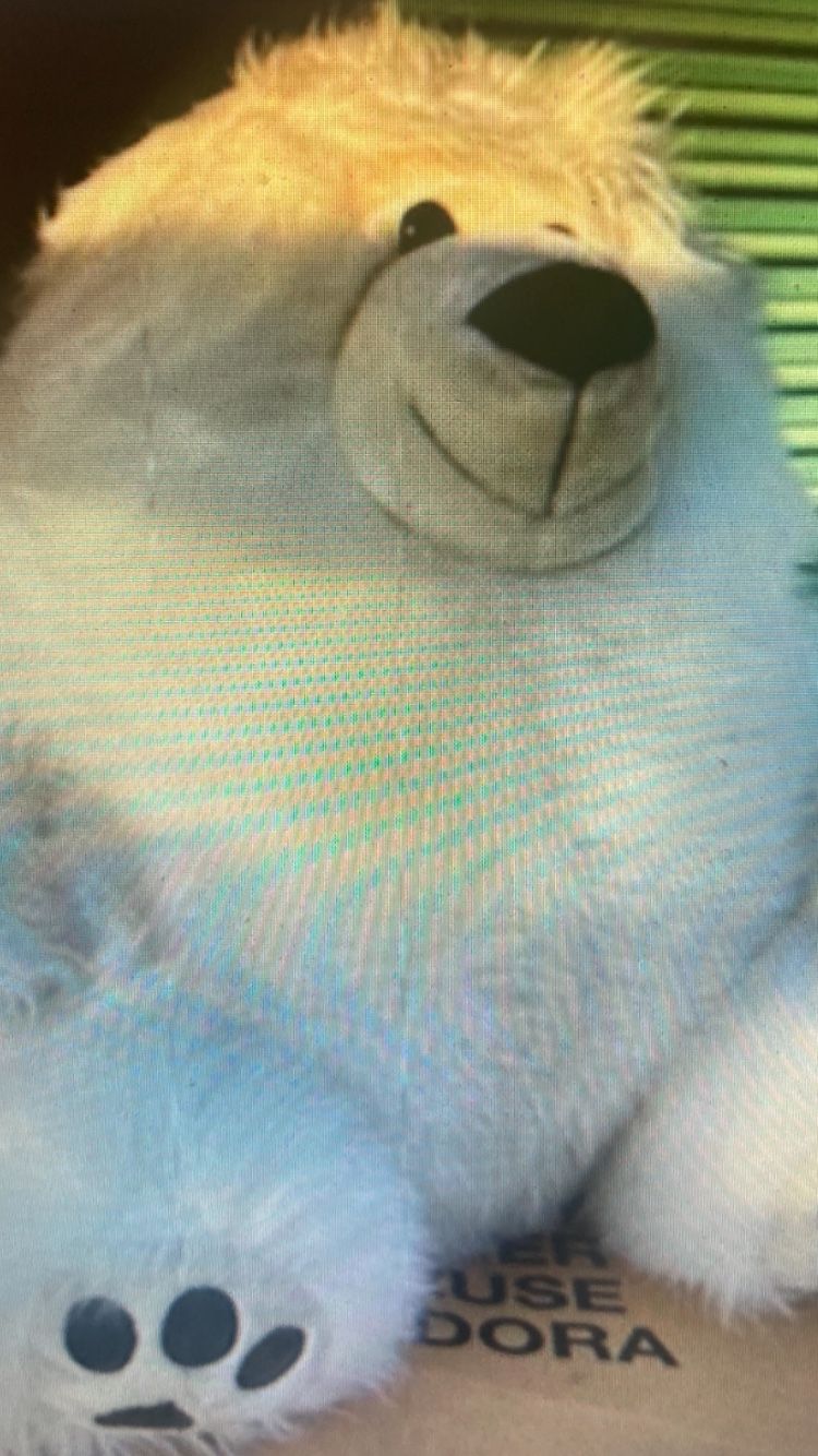 Giant White Teddy Bear
