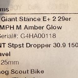 2022 Giant Stance E+ 2 29er