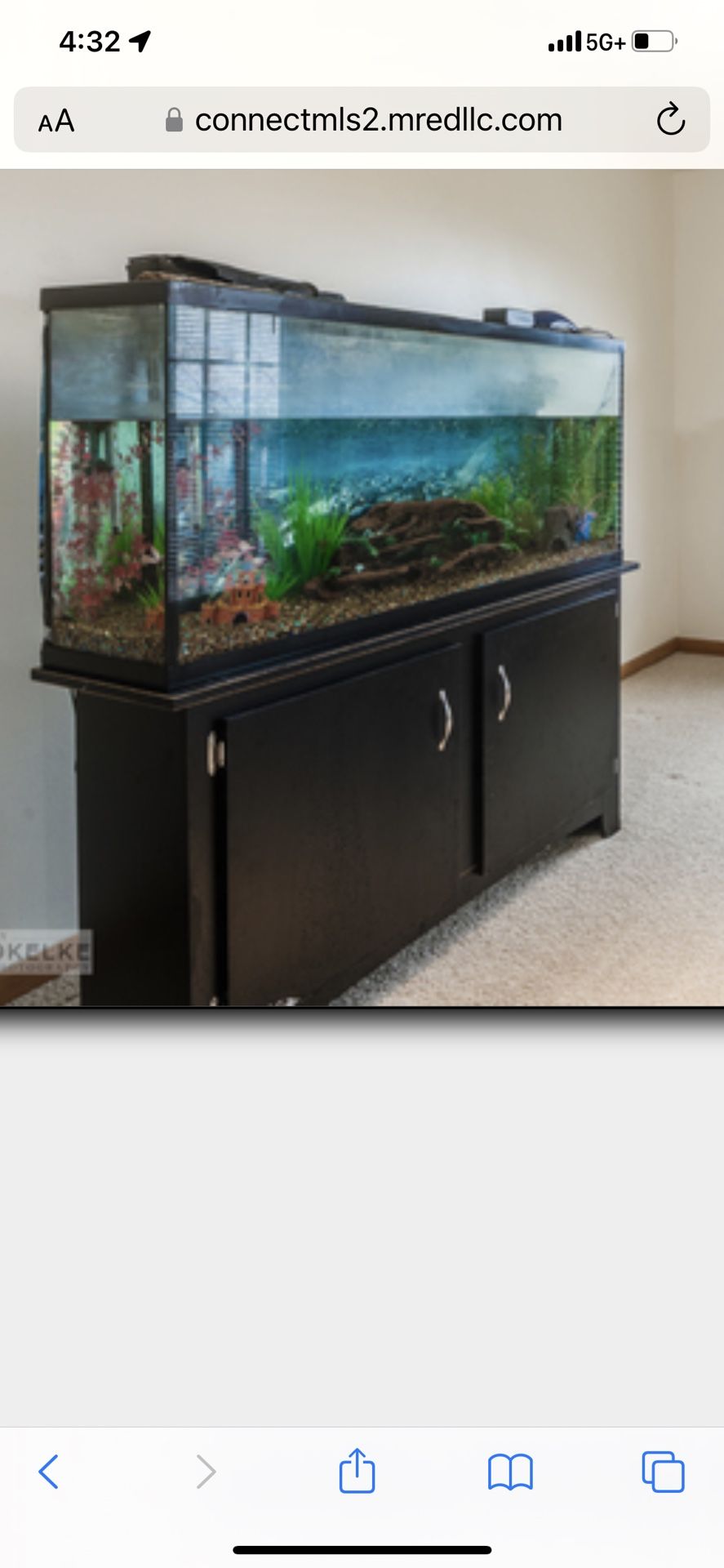 Fish Tank