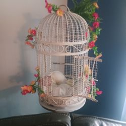 Bird Cage 