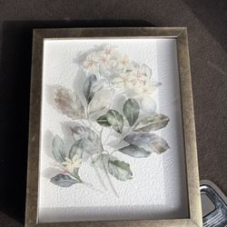 Framed pressed botanical artwork