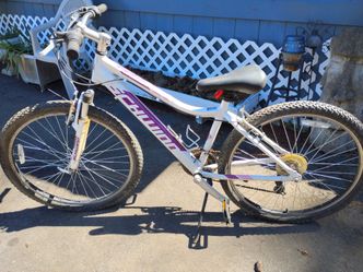 Schwin bike