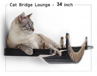 Cat Bridge and lounge cat wall bridge cat wall lounge cat wall furniture