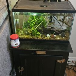 Fish Tank 