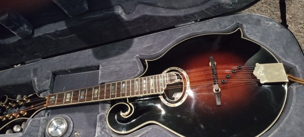 Michael Kelly Over hule F Style Mandolin