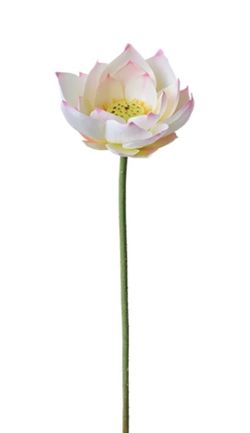 Artificial Real Looking lotus flowers