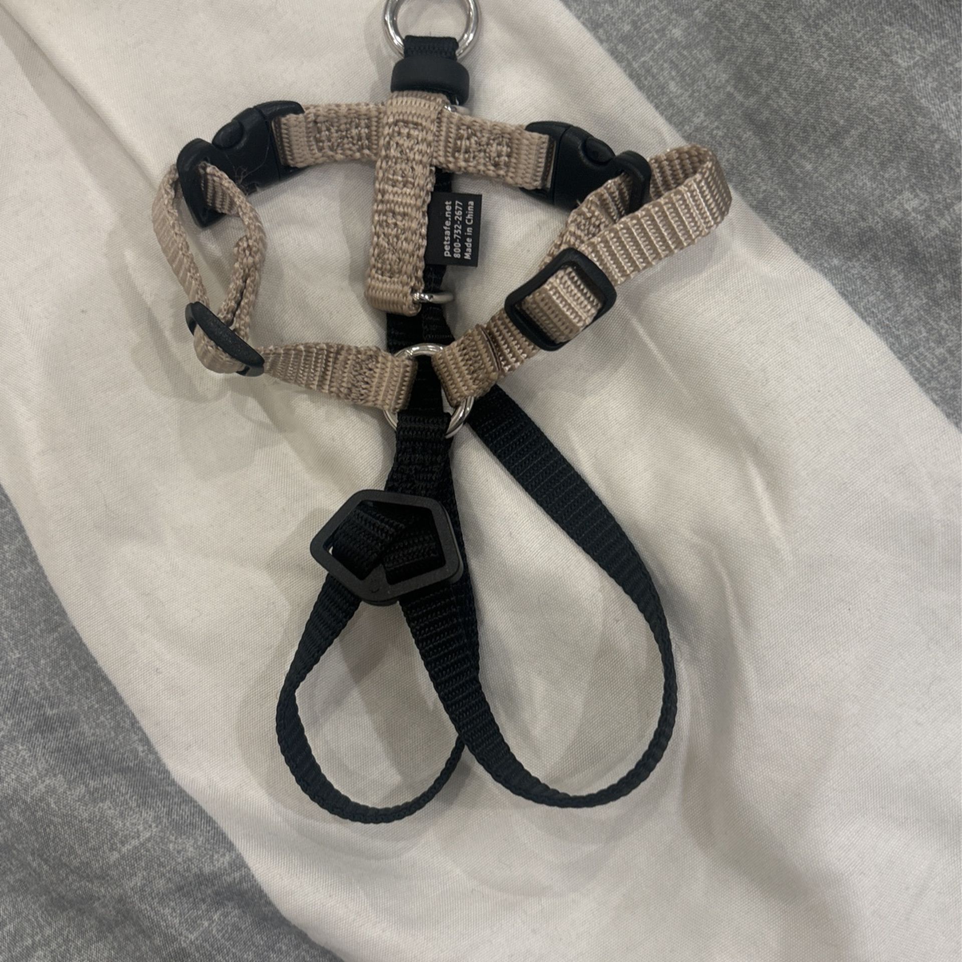 Pet safe leash size S