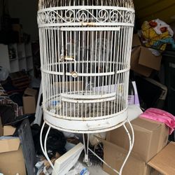 Bird Cage