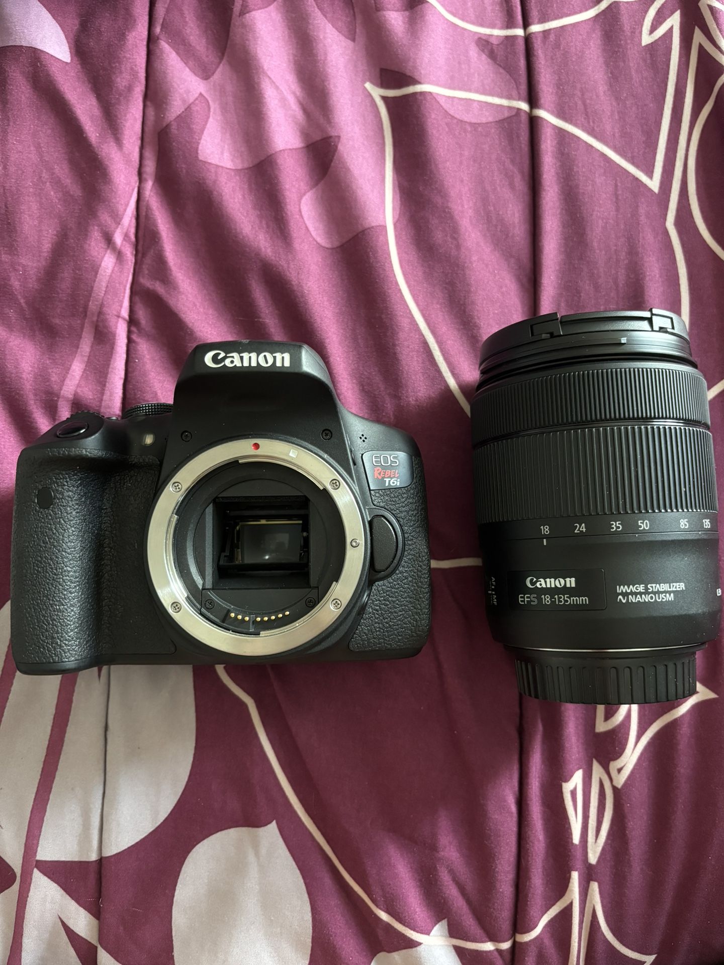 Canon Rebel T6i with 18-135mm lens