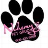 Nohemy