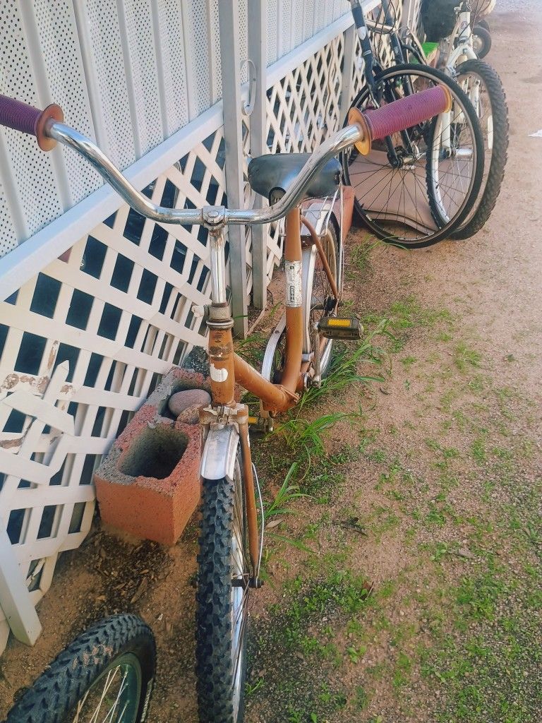 VINTAGE Rare German Bike