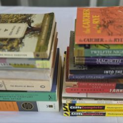 Lot Of High School Literature Reading Books 
