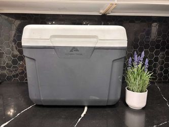 Cooler ice chest