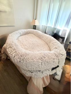 Human sized dog bed