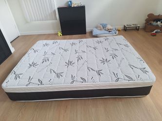 Queen bed mattress only