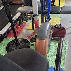 Recumbent Bike