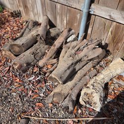 Free fire wood
