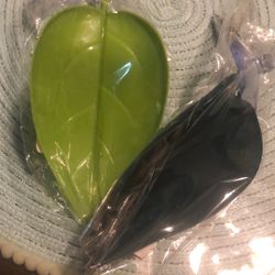 Tarantula/Reptile Decor