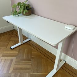 Standing Desk