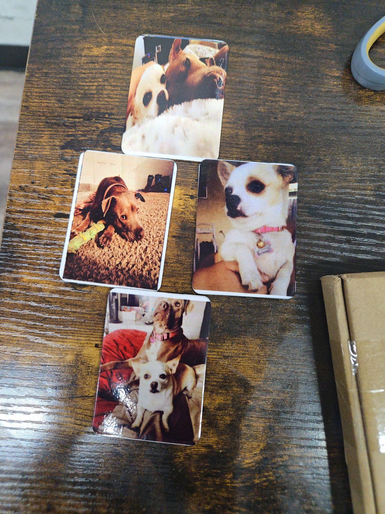 Dog Tags