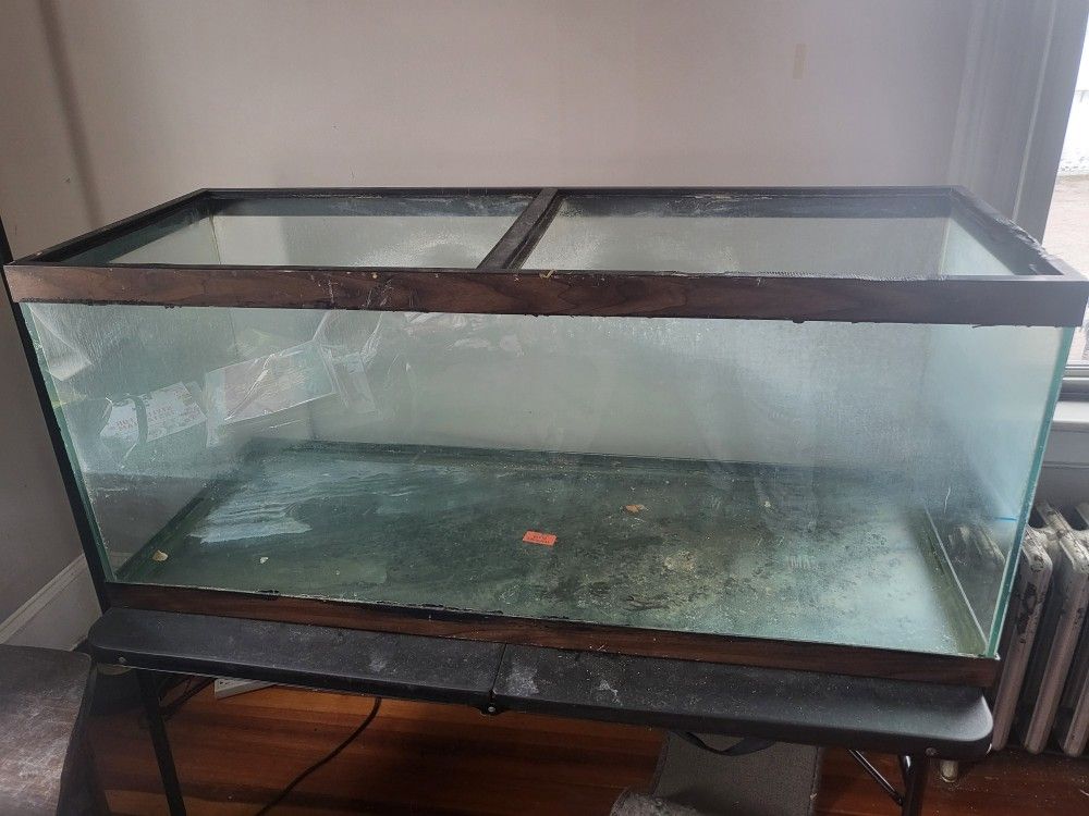 75 Gallon Tank