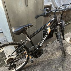 24 inch Roadmaster Mountain Bike 