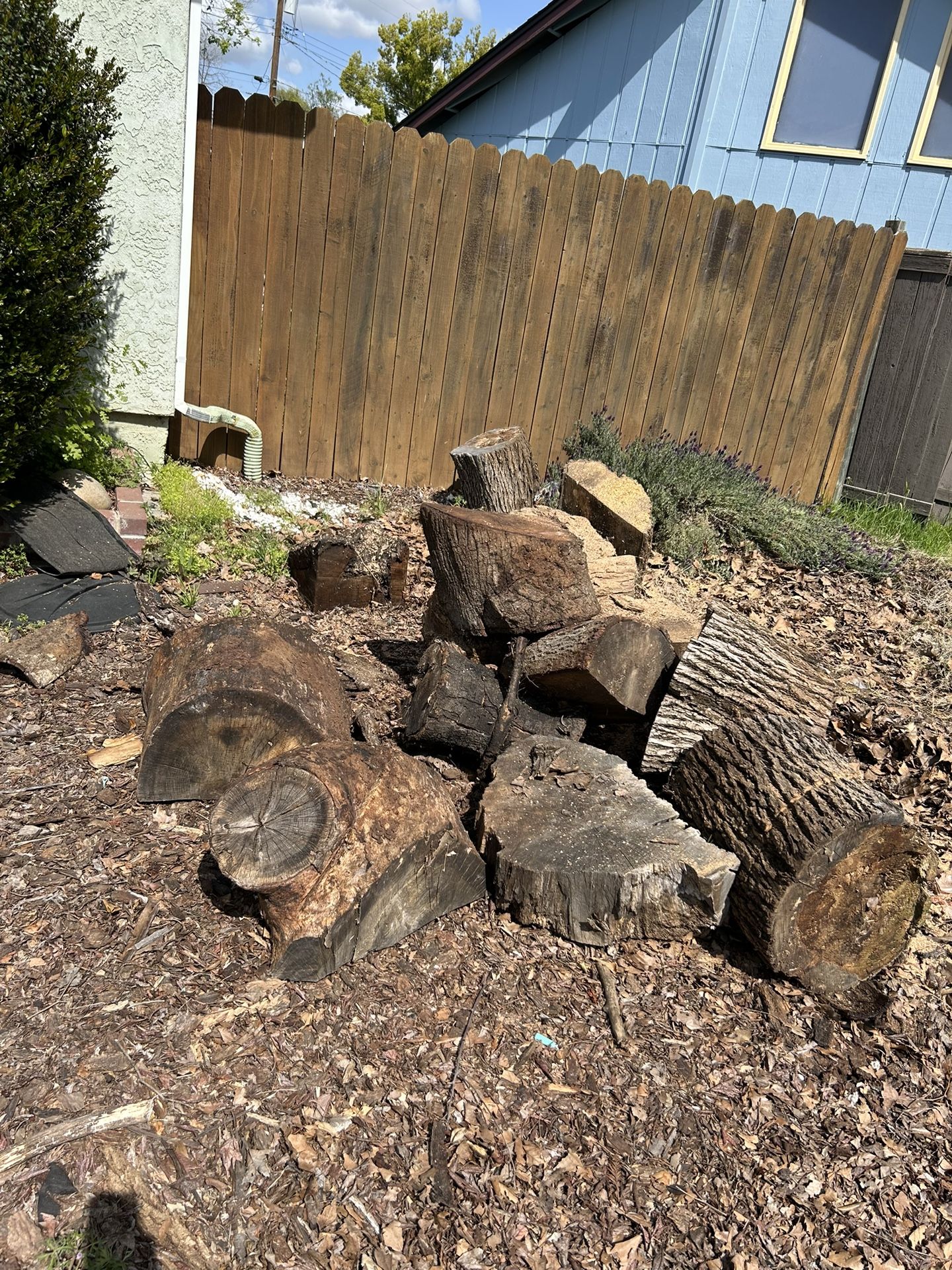 Free Oak Firewood