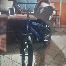20inch Bike 